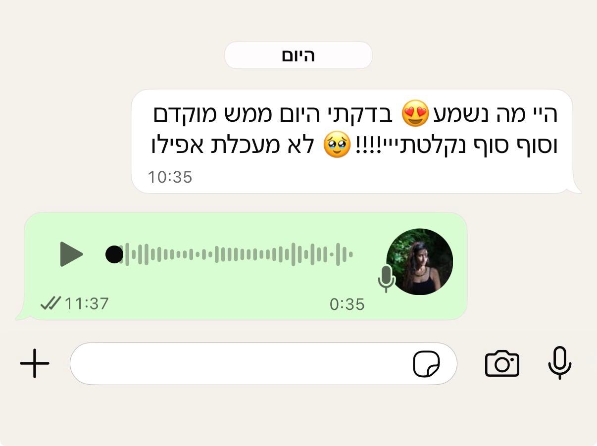 המלצה 7